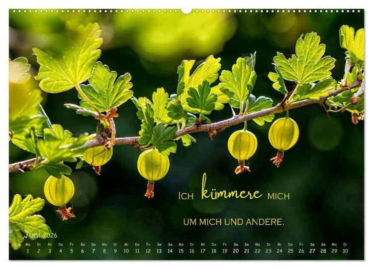Produktbild: Weibliche Kraft - 12 Impulse zu deiner Wirksamkeit als Frau (hochwertiger Premium Wandkalender 2026 DIN A2 quer), Kunstdruck in Hochglanz
