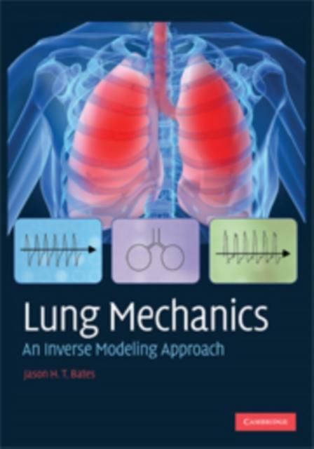 Produktbild: Lung Mechanics