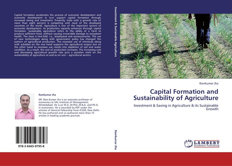 Produktbild: Capital Formation and Sustainability of Agriculture