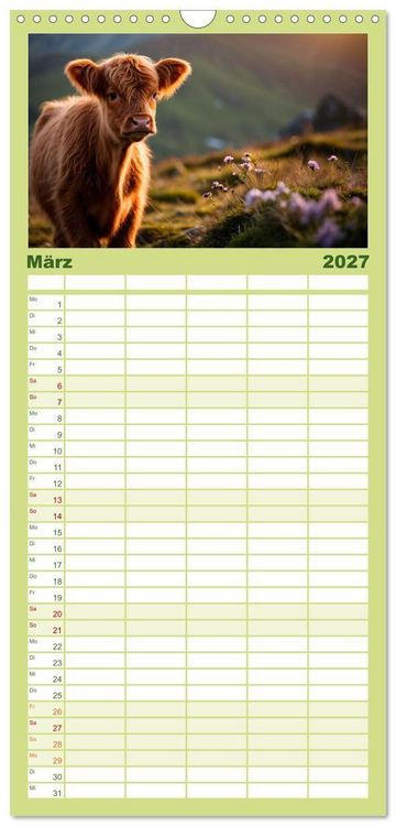 Produktbild: Familienplaner 2027 - Highland K&uuml;he mit 5 Spalten (Wandkalender, 21 x 45 cm) CALVENDO