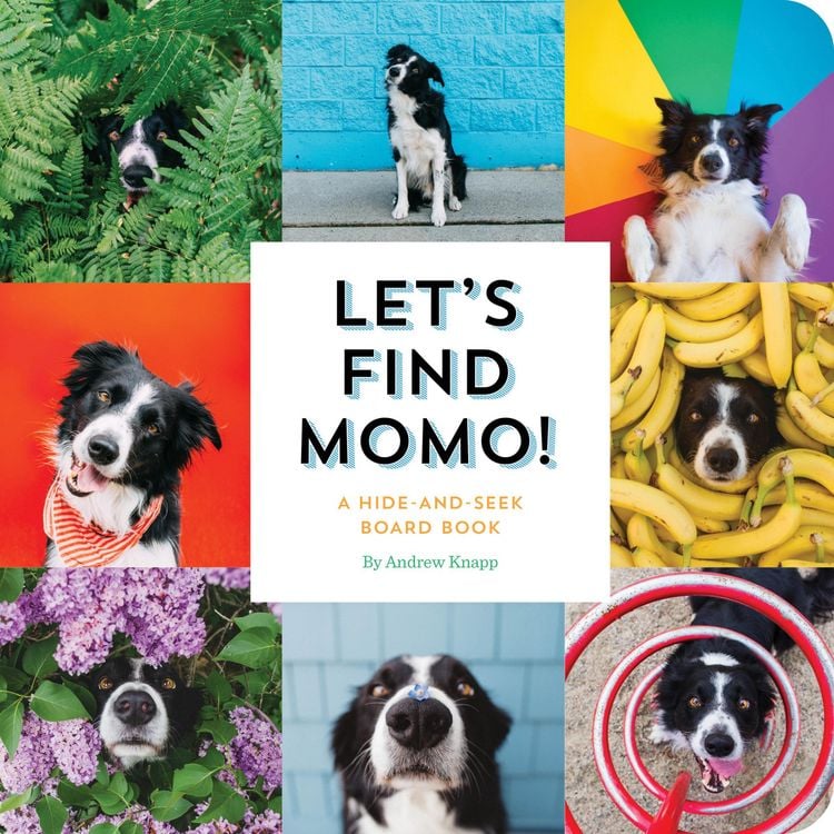 Produktbild: Let's Find Momo!