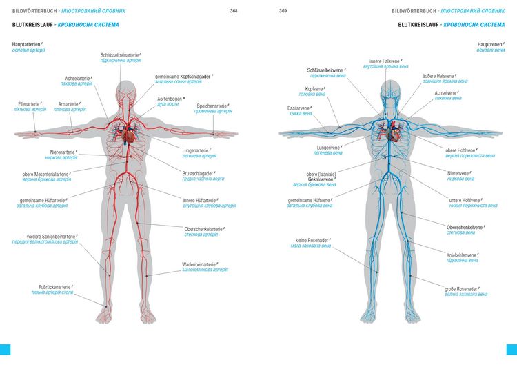 Produktbild: W&ouml;rterbuch Medizin Deutsch-Ukrainisch, Ukrainisch-Deutsch mit zweisprachigen Anatomietafeln