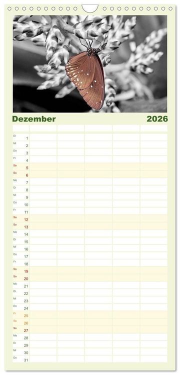 Produktbild: Familienplaner 2026 - Gefl&uuml;gelte Sch&ouml;nheiten der Tropen mit 5 Spalten (Wandkalender, 21 x 45 cm) CALVENDO