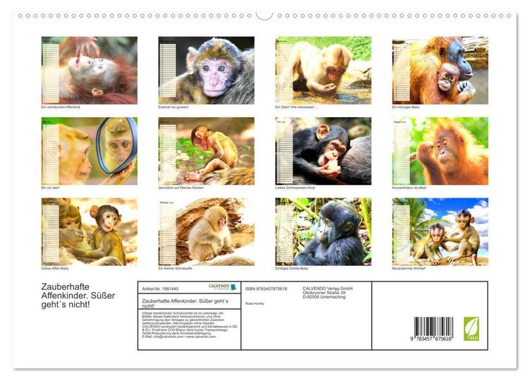 Produktbild: Zauberhafte Affenkinder. S&uuml;&szlig;er geht&acute;s nicht! (hochwertiger Premium Wandkalender 2026 DIN A2 quer), Kunstdruck in Hochglanz
