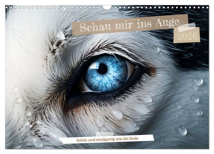 Produktbild: Schau mir ins Auge (Wandkalender 2026 DIN A3 quer), CALVENDO Monatskalender