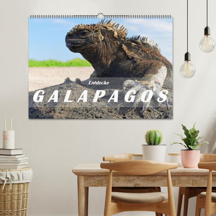 Produktbild: Entdecke Galapagos (Wandkalender 2026 DIN A2 quer), CALVENDO Monatskalender