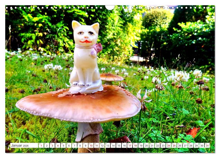 Produktbild: Pilz-Tiere (Wandkalender 2026 DIN A3 quer), CALVENDO Monatskalender