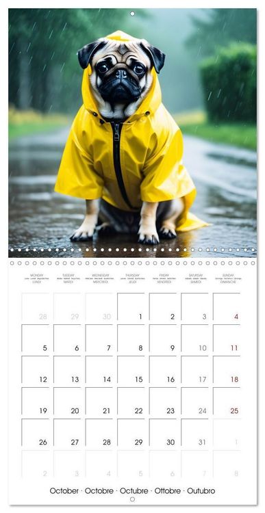 Produktbild: Kleemann, C: Dogs with matching hats (Wall Calendar 2026 12