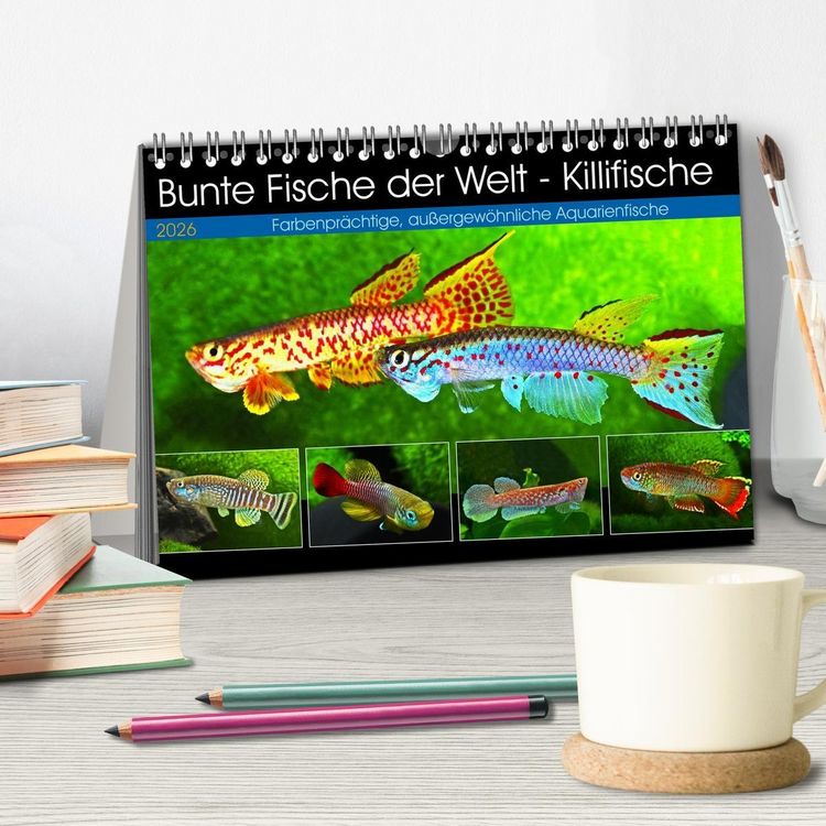 Produktbild: Bunte Fische der Welt - Killifische (Tischkalender 2026 DIN A5 quer), CALVENDO Monatskalender