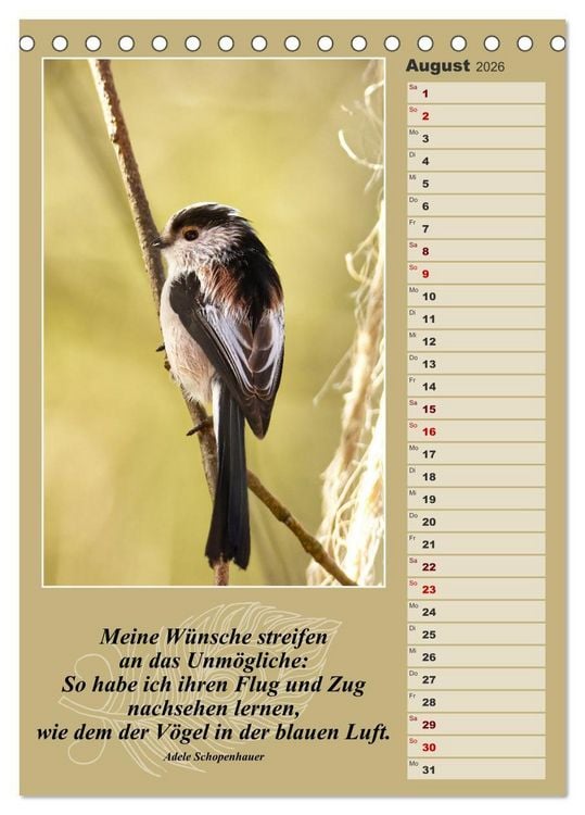 Produktbild: Schwanzmeisen, die niedlichen kleinen Pfannenstielchen (Tischkalender 2026 DIN A5 hoch), CALVENDO Monatskalender