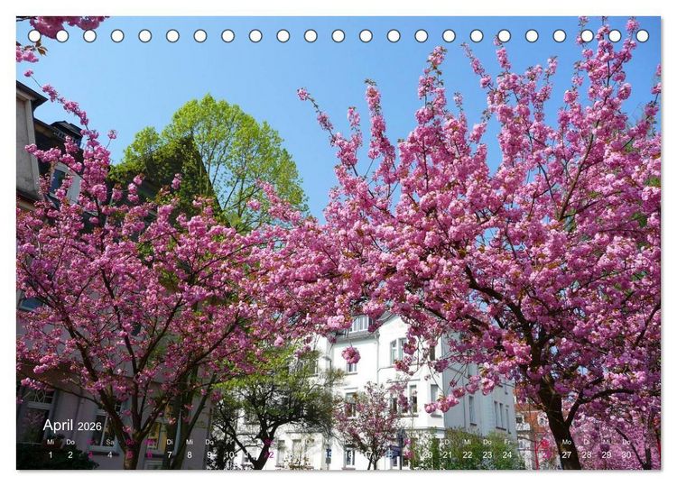 Produktbild: Marburg 2026 (Tischkalender 2026 DIN A5 quer), CALVENDO Monatskalender