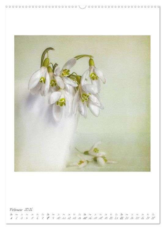 Produktbild: Flower Dreams (hochwertiger Premium Wandkalender 2026 DIN A2 hoch), Kunstdruck in Hochglanz