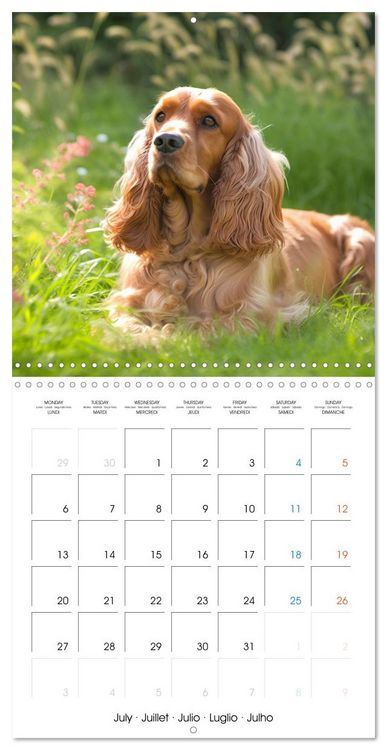 Produktbild: Portraits de petits chiens (Calendrier mural carr&eacute; 2026 30x30 cm) Calendrier double avec une page pour vos prises de notes