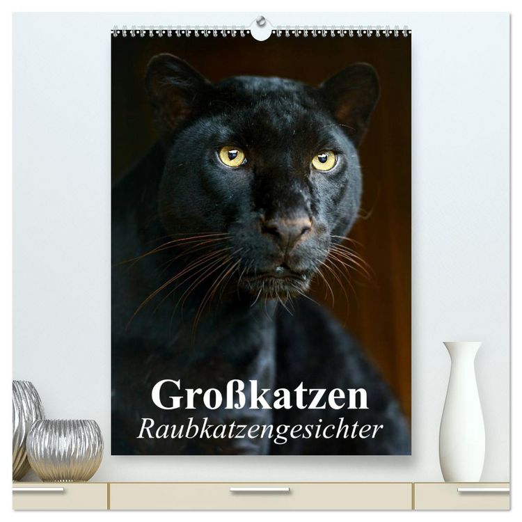 Produktbild: Gro&szlig;katzen. Raubkatzengesichter (hochwertiger Premium Wandkalender 2026 DIN A2 hoch), Kunstdruck in Hochglanz