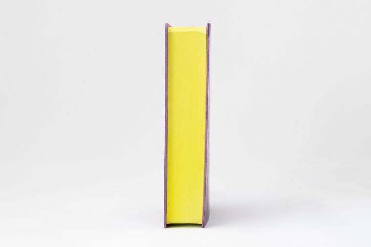 Produktbild: Die Bibel. Senfkorn, Handschmeichler lila