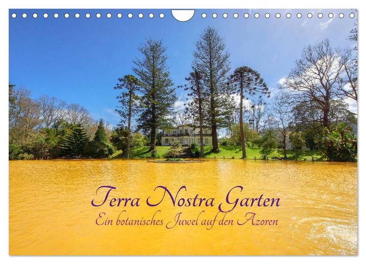 Produktbild: Terra Nostra Garten - ein botanisches Juwel auf den Azoren (Wandkalender 2026 DIN A4 quer), CALVENDO Monatskalender