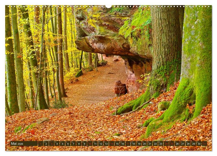 Produktbild: Der Altschlossfelsen - Gr&ouml;&szlig;te Felsformation der Pfalz im herbstlichen Farbspiel (hochwertiger Premium Wandkalender 2026 DIN A2 quer), Kunstdruck in Hochglanz