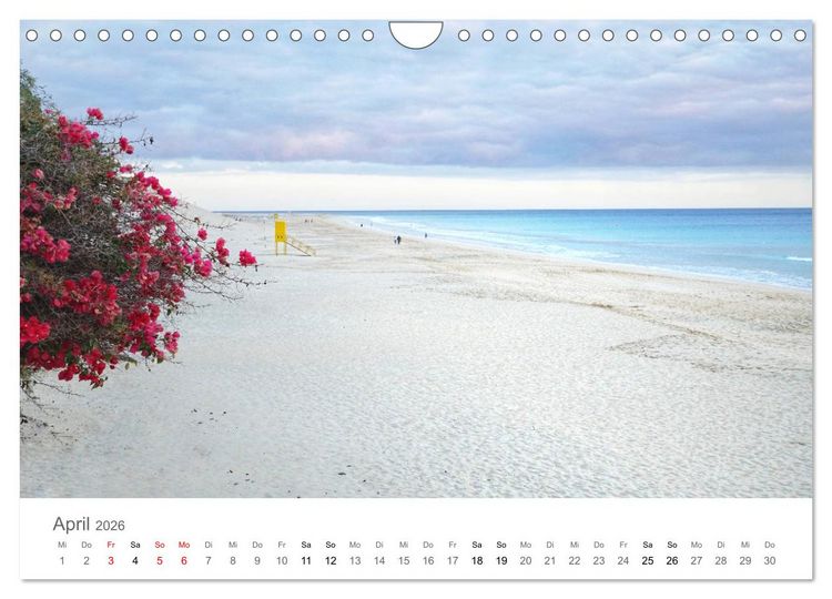 Produktbild: Fuerteventura - die W&uuml;steninsel der Kanaren (Wandkalender 2026 DIN A4 quer), CALVENDO Monatskalender