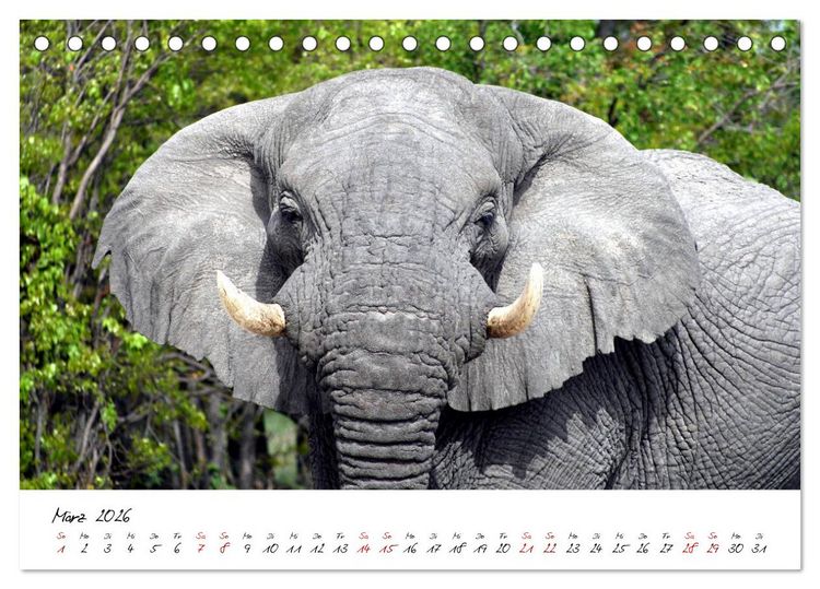 Produktbild: Namibia - Magie der Weite (Tischkalender 2026 DIN A5 quer), CALVENDO Monatskalender