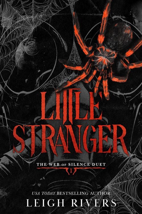 Produktbild: Little Stranger