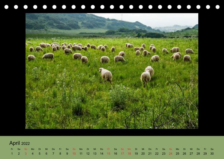 Produktbild: Sardische Landschaften (Tischkalender 2022 DIN A5 quer)