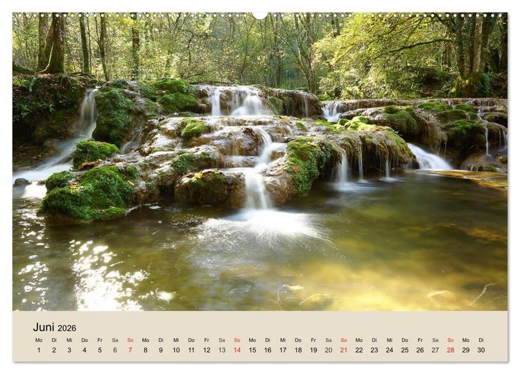 Produktbild: Der Wald. Durch zauberhafte Waldlandschaften (Wandkalender 2026 DIN A2 quer), CALVENDO Monatskalender