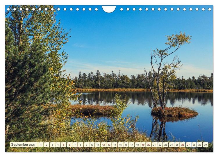 Produktbild: Moor und Riedlandschaften im S&uuml;dwesten (Wandkalender 2026 DIN A4 quer), CALVENDO Monatskalender