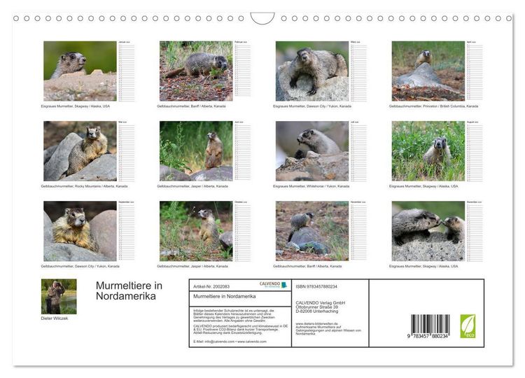 Produktbild: Murmeltiere in Nordamerika (Wandkalender 2026 DIN A3 quer), CALVENDO Monatskalender