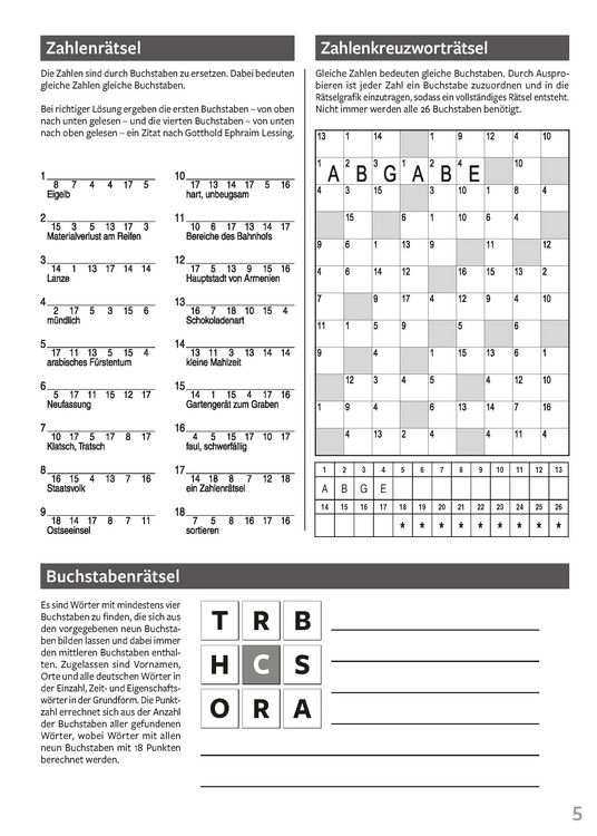 Produktbild: Maxi-Buch R&auml;tsel Band 8