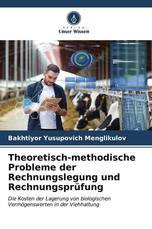Produktbild: Theoretisch-methodische Probleme der Rechnungslegung und Rechnungspr&uuml;fung