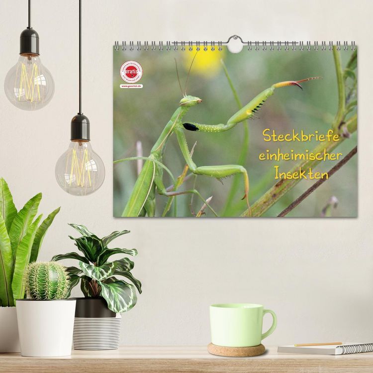 Produktbild: GEOclick Lernkalender: Insekten (Wandkalender 2026 DIN A4 quer), CALVENDO Monatskalender