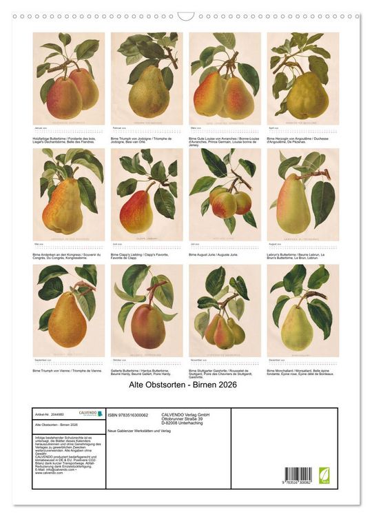 Produktbild: Alte Obstsorten - Birnen 2026 (Wandkalender 2026 DIN A2 hoch), CALVENDO Monatskalender