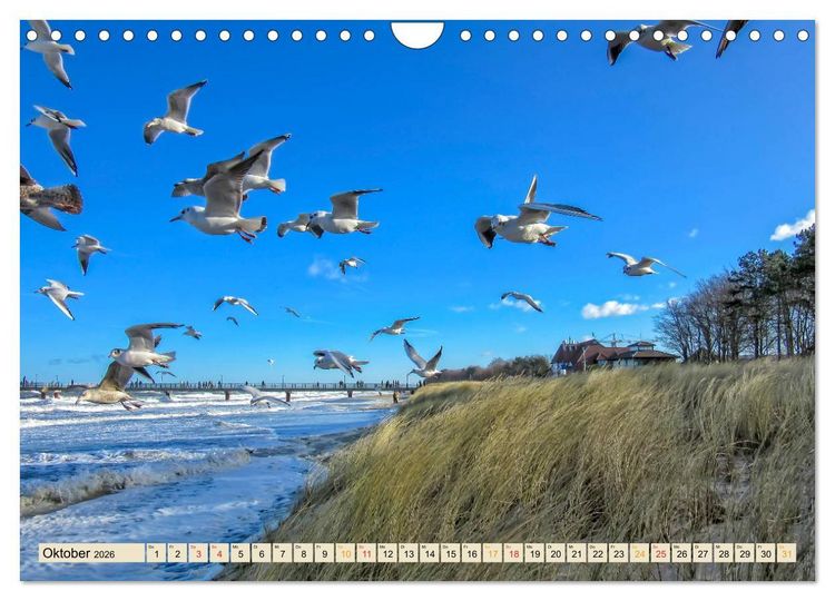 Produktbild: Reise durch Deutschland - Mecklenburg-Vorpommern (Wandkalender 2026 DIN A4 quer), CALVENDO Monatskalender