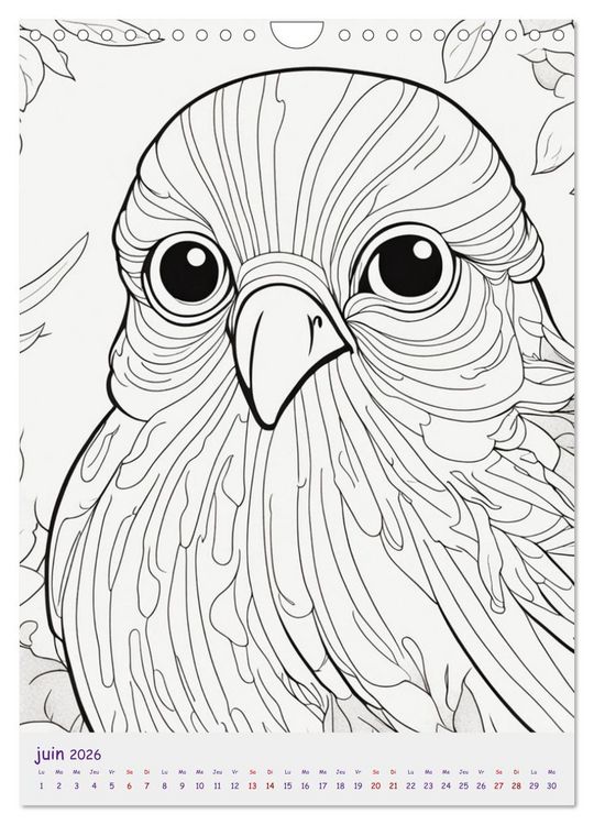 Produktbild: Calendrier &agrave; colorier (Calendrier mural 2026 DIN A4 horizontal), CALVENDO calendrier mensuel