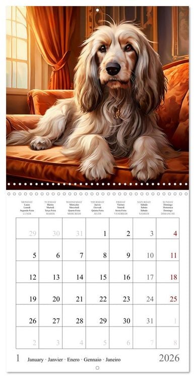 Produktbild: Dogs - Cute House Pets (Wall Calendar 2026 12 &times; 12 Inch) CALVENDO 12 Month Wall Calendar