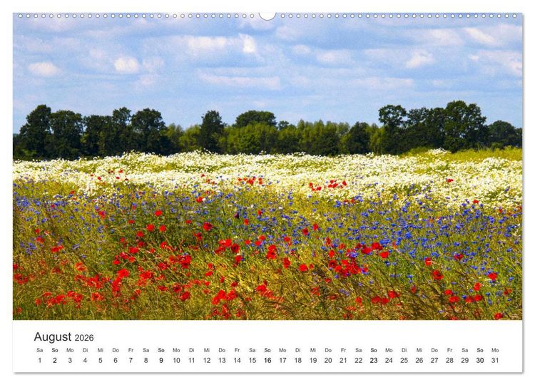 Produktbild: Die sch&ouml;nsten Blumenwiesen der Welt (Wandkalender 2026 DIN A2 quer), CALVENDO Monatskalender