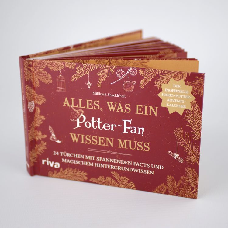 Alles, was ein Potter-Fan wissen muss