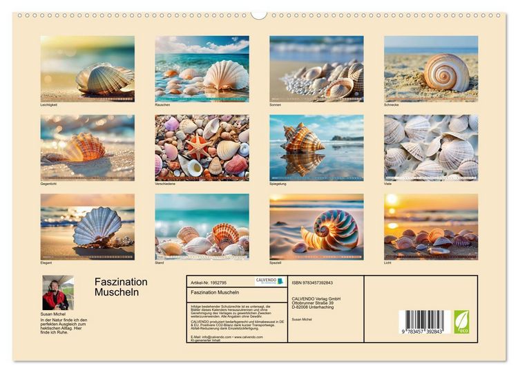 Produktbild: Faszination Muscheln (hochwertiger Premium Wandkalender 2026 DIN A2 quer), Kunstdruck in Hochglanz