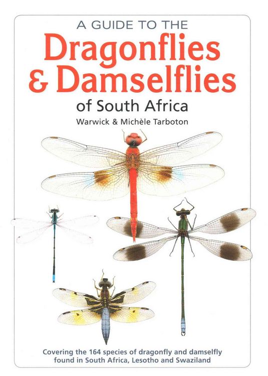Produktbild: Gt The Dragonflies & Damselfli