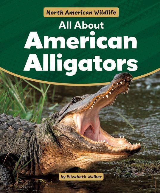 Produktbild: All about American Alligators