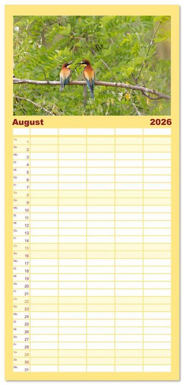 Produktbild: Familienplaner 2026 - Bunte Flieger mit 5 Spalten (Wandkalender, 21 x 45 cm) CALVENDO