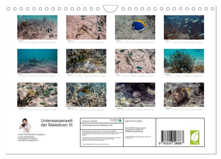 Produktbild: Unterwasserwelt der Malediven III (Wandkalender 2026 DIN A4 quer), CALVENDO Monatskalender