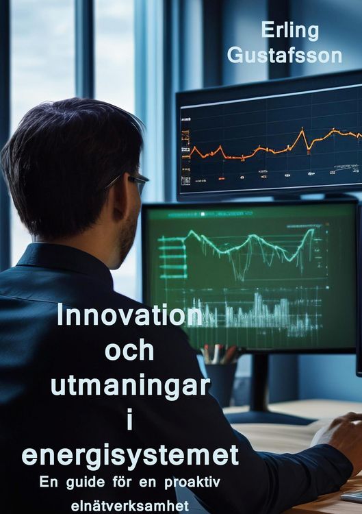 Produktbild: Innovation och utmaningar i ett nytt energisystem