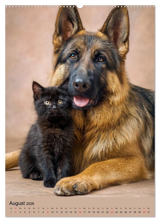 Produktbild: Freundschaftskalender - Katzen und Hunde, beste Freunde in Umarmung (hochwertiger Premium Wandkalender 2026 DIN A2 hoch), Kunstdruck in Hochglanz