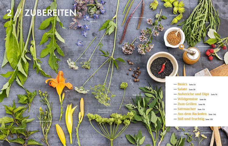Produktbild: Wildkräuter – Bestimmen, Sammeln, Zubereiten