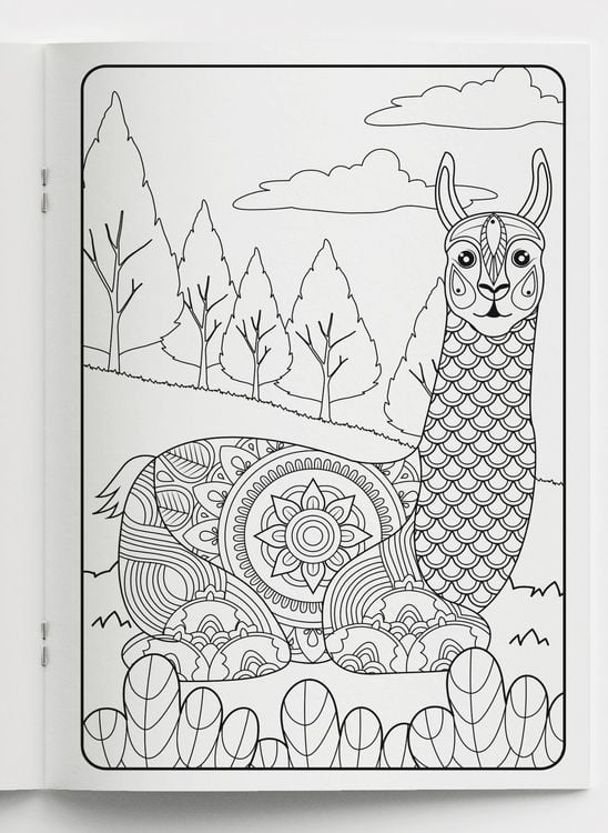Produktbild: Mein Mandala Malbuch