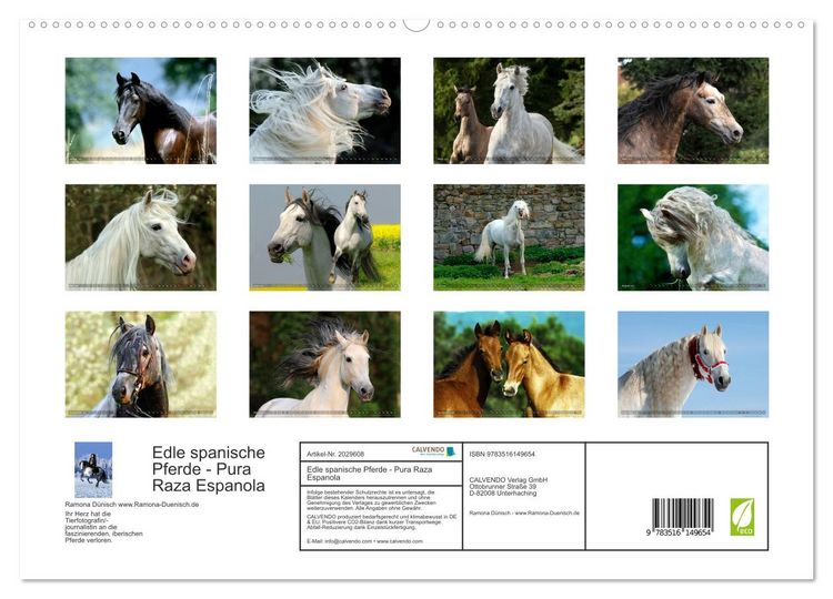 Produktbild: Edle spanische Pferde - Pura Raza Espanola (hochwertiger Premium Wandkalender 2026 DIN A2 quer), Kunstdruck in Hochglanz