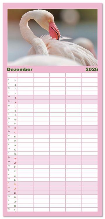 Produktbild: Familienplaner 2026 - The Power Of Pink mit 5 Spalten (Wandkalender, 21 x 45 cm) CALVENDO