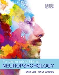 Produktbild: Fundamentals of Human Neuropsychology