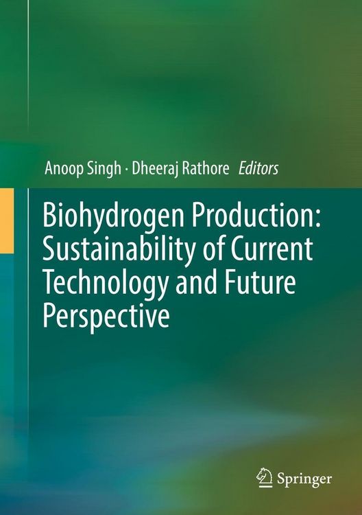 Produktbild: Biohydrogen Production: Sustainability of Current Technology and Future Perspective